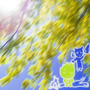 being harsh (feat. Kogarashi)