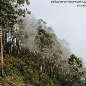 slowlyconsumedasmyworldfadesaway