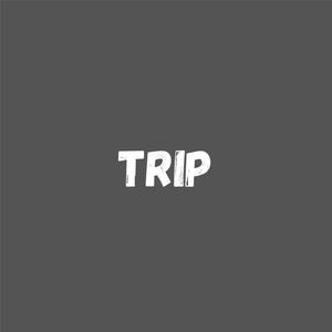 trip