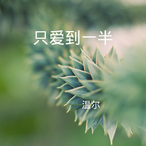 张三的歌 (DJ版)