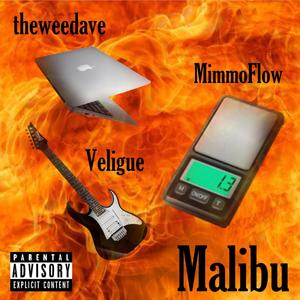 Malibu (feat. Veligue & theweedave) [Explicit]