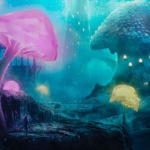 IMMERSED