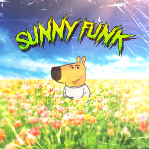 Sunny Funk