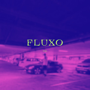 FLUXO (Explicit)