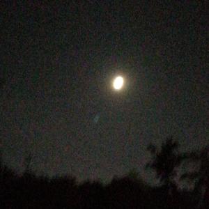 昨天就变成明天