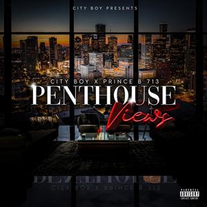 Penthouse Views (feat. PrinceB713) [Explicit]