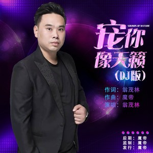 宠你像天籁 (DJ版伴奏)
