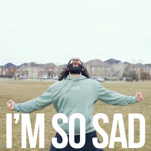 i'm so sad (instrumental)