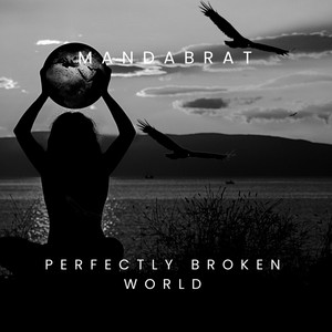 Perfectly Broken World