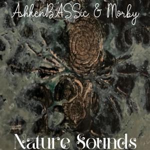 Nature Sounds