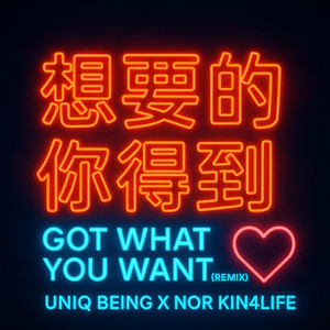 Got What You Want (Remix|Explicit)