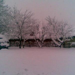 multicontinental (Explicit)