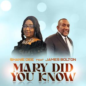 Mary Did You Know (feat. James Bolton)