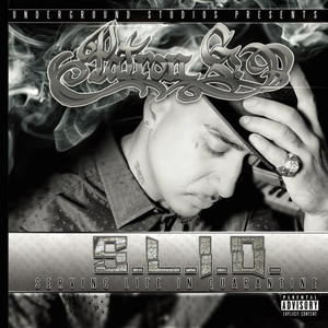 Family(feat. Brittany Halvorson & Big Gemini) (Explicit)