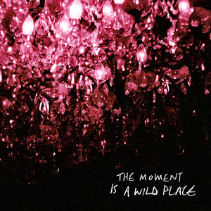 The Moment Is A Wild Place (Explicit)