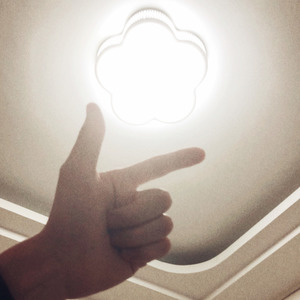 对不起我想你了