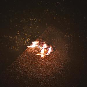 King's Casino (Explicit)