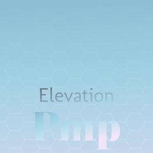 Elevation Pmp