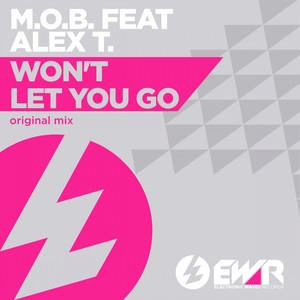 Won't Let You Go (Original Mix)