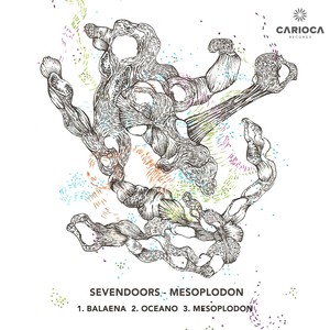 Mesoplodon (Original Mix)
