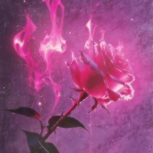 I Don't Want To Date Again (Explicit)