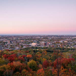 Everything (Explicit)