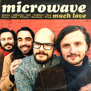Microwave - Roaches
