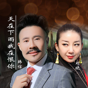 天在下雨我在恨你 (男版伴奏)