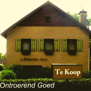 Te Koop