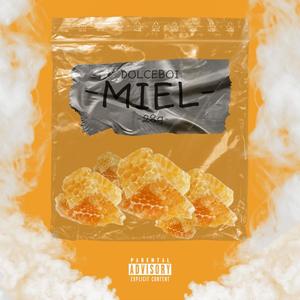 MIEL (Explicit)