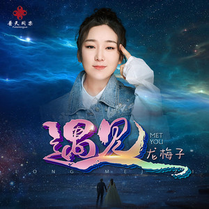 龙梅子 - 遇见