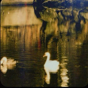 Dancing in Swan Lake (feat. Princesa)