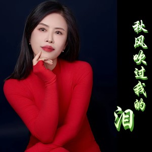 秋风吹过我的泪