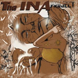 The INA Project (Explicit)