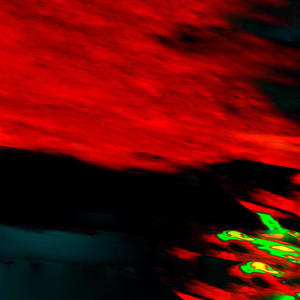 ZO! (feat. synister) (Explicit)