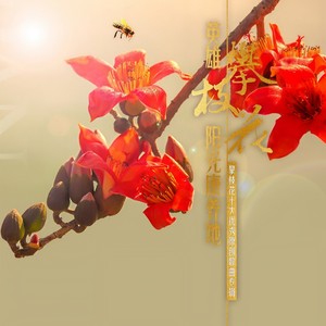 西部雨林合唱团 - 这里得天独厚