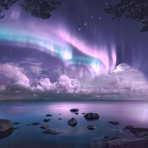 The Hustle (Explicit)