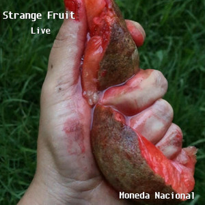 Strange Fruit (Live)