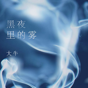 黑夜里的雾