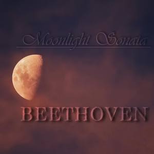 Piano Sonata No. 14 in C Sharp Minor, Op. 27, No. 2 - Piano Sonata No. 14 in C Sharp Minor, Op. 27, No. 2: III. Presto