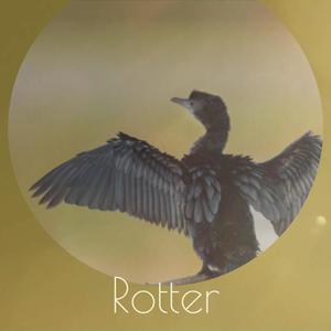 Rotter