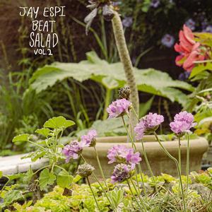 Gamegirl Colour 100 GbMin