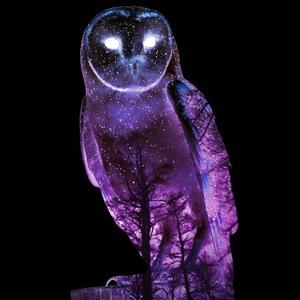 Night Owl