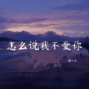 怎么说我不爱你