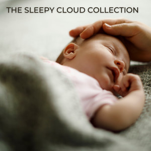 The Sleepy Cloud Collection