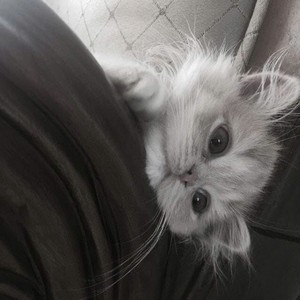 Một Bước Yêu Vạn Dặm Đau (1|Explicit)