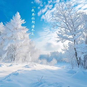 我开始期待冬天 (还是会想你)