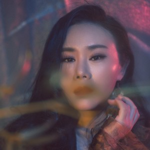 江南有嘉鱼