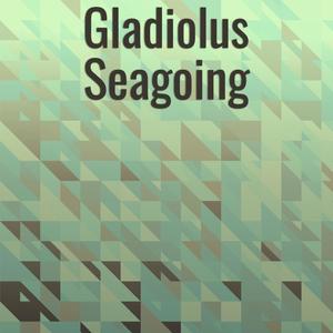 Gladiolus Seagoing