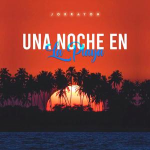 UNA NOCHE EN LA PLAYA